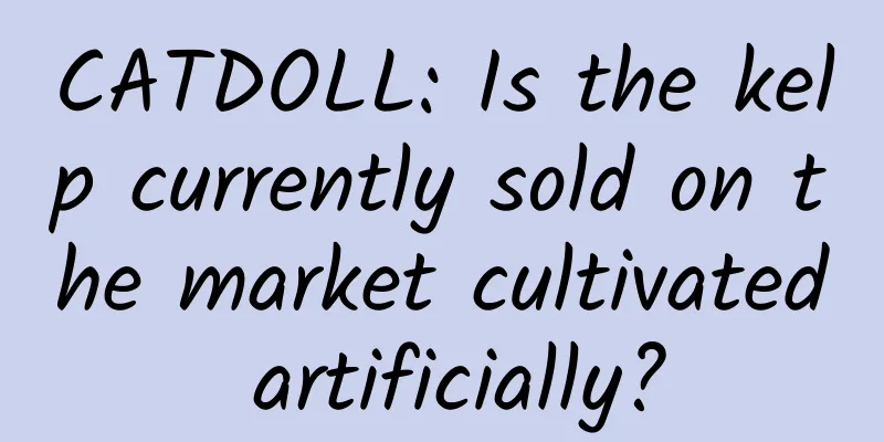 CATDOLL: Is the kelp currently sold on the market cultivated artificially?