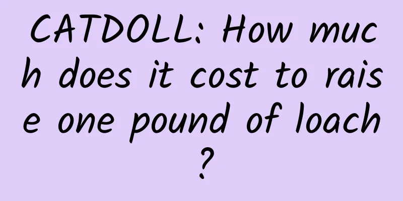 CATDOLL: How much does it cost to raise one pound of loach?