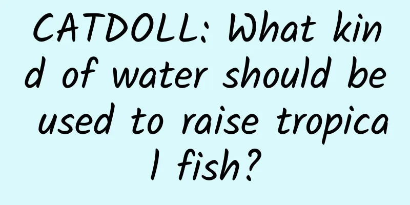 CATDOLL: What kind of water should be used to raise tropical fish?