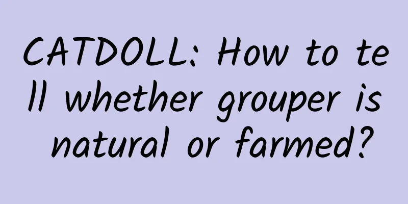 CATDOLL: How to tell whether grouper is natural or farmed?
