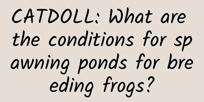 CATDOLL: What are the conditions for spawning ponds for breeding frogs?