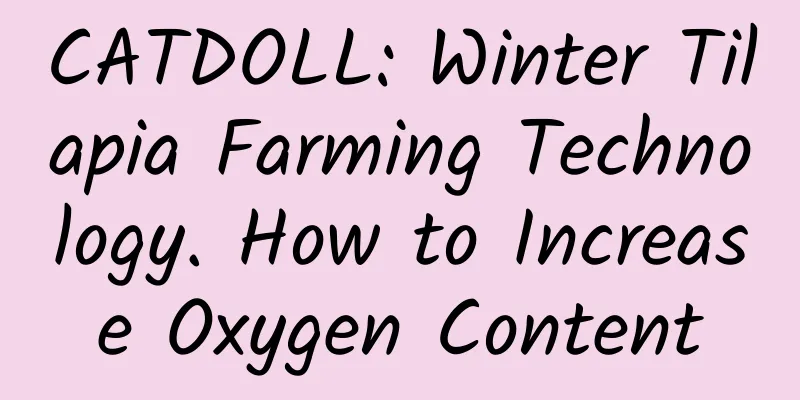CATDOLL: Winter Tilapia Farming Technology. How to Increase Oxygen Content