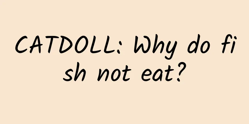 CATDOLL: Why do fish not eat?