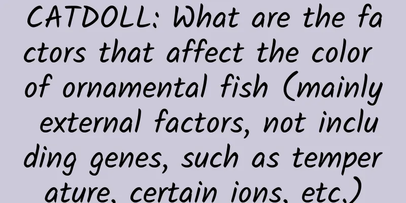 CATDOLL: What are the factors that affect the color of ornamental fish (mainly external factors, not including genes, such as temperature, certain ions, etc.)