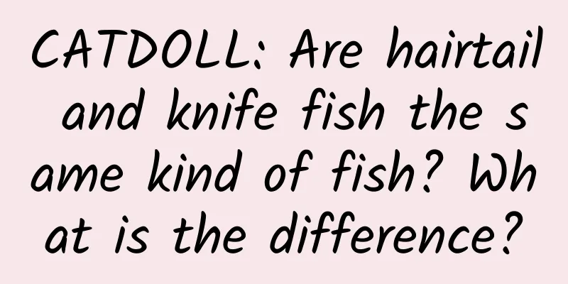 CATDOLL: Are hairtail and knife fish the same kind of fish? What is the difference?