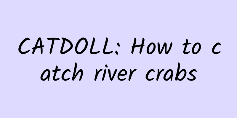 CATDOLL: How to catch river crabs