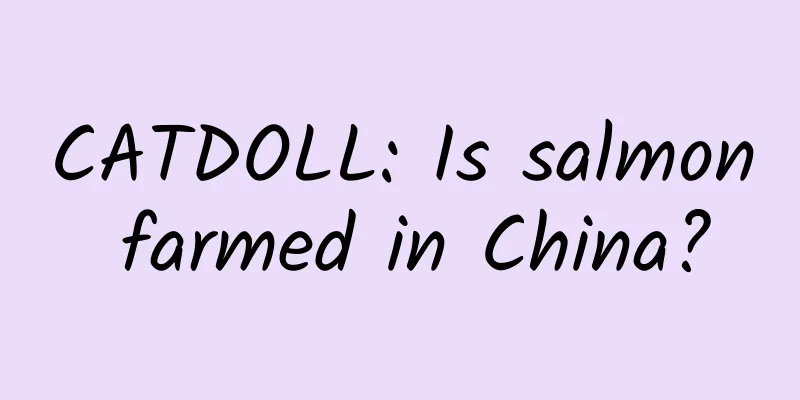 CATDOLL: Is salmon farmed in China?