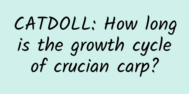 CATDOLL: How long is the growth cycle of crucian carp?