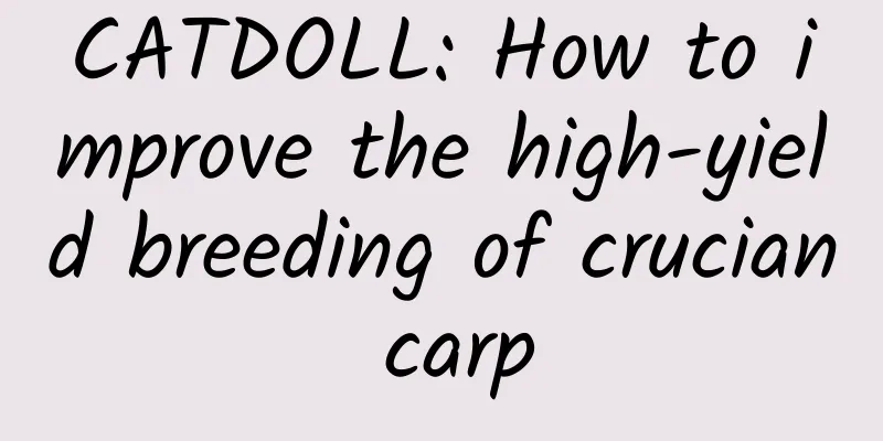 CATDOLL: How to improve the high-yield breeding of crucian carp