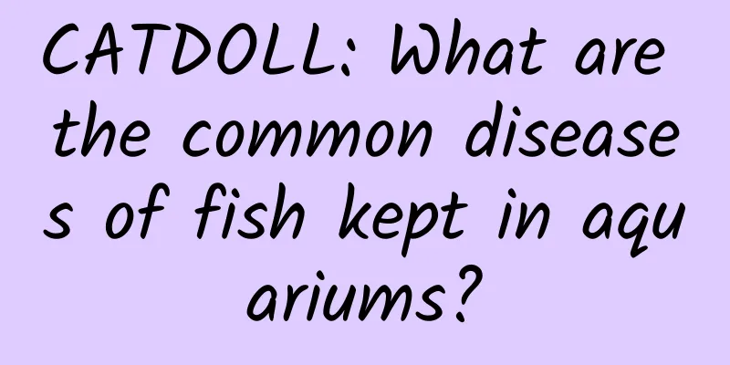 CATDOLL: What are the common diseases of fish kept in aquariums?