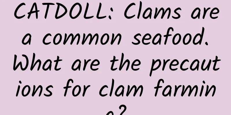 CATDOLL: Clams are a common seafood. What are the precautions for clam farming?