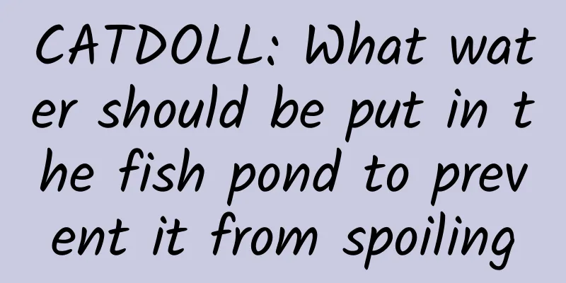 CATDOLL: What water should be put in the fish pond to prevent it from spoiling