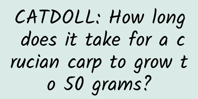 CATDOLL: How long does it take for a crucian carp to grow to 50 grams?