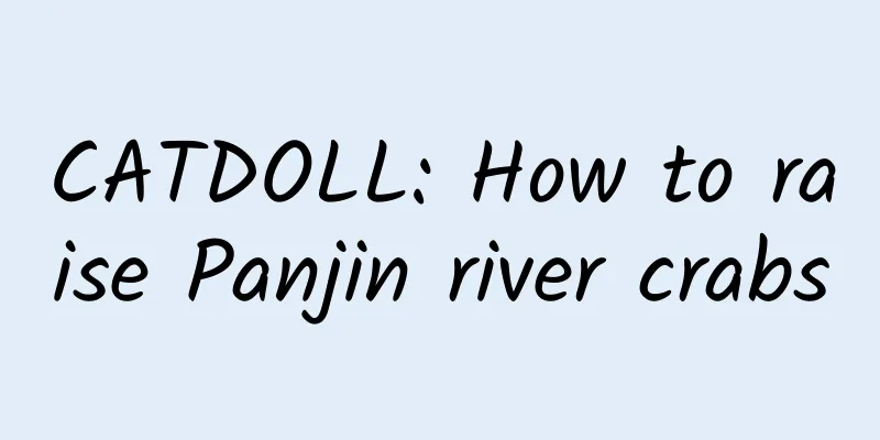 CATDOLL: How to raise Panjin river crabs
