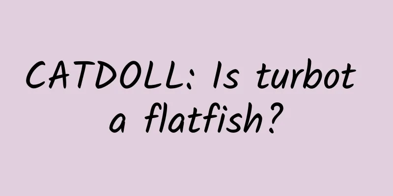 CATDOLL: Is turbot a flatfish?