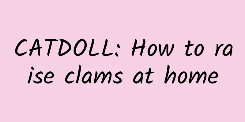 CATDOLL: How to raise clams at home