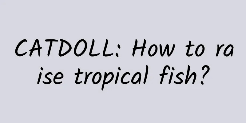 CATDOLL: How to raise tropical fish?