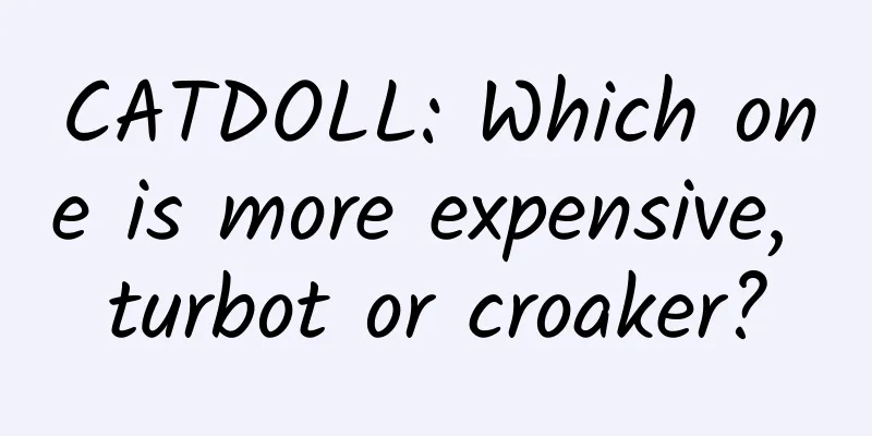 CATDOLL: Which one is more expensive, turbot or croaker?