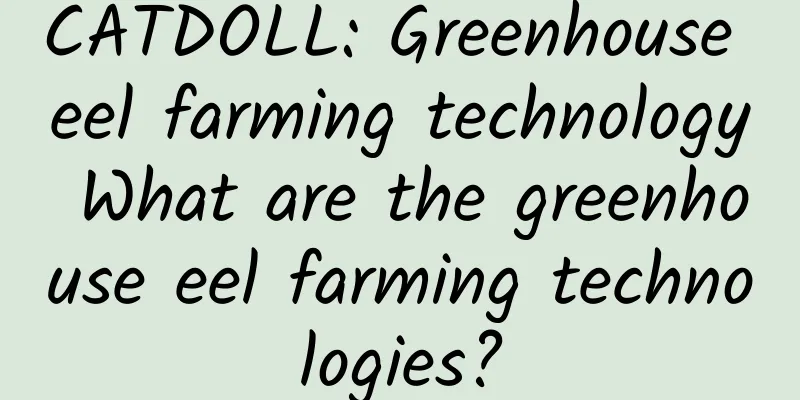 CATDOLL: Greenhouse eel farming technology What are the greenhouse eel farming technologies?