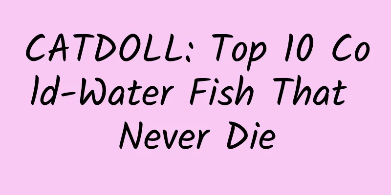 CATDOLL: Top 10 Cold-Water Fish That Never Die