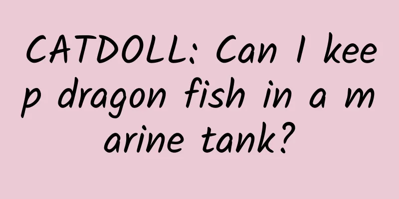 CATDOLL: Can I keep dragon fish in a marine tank?