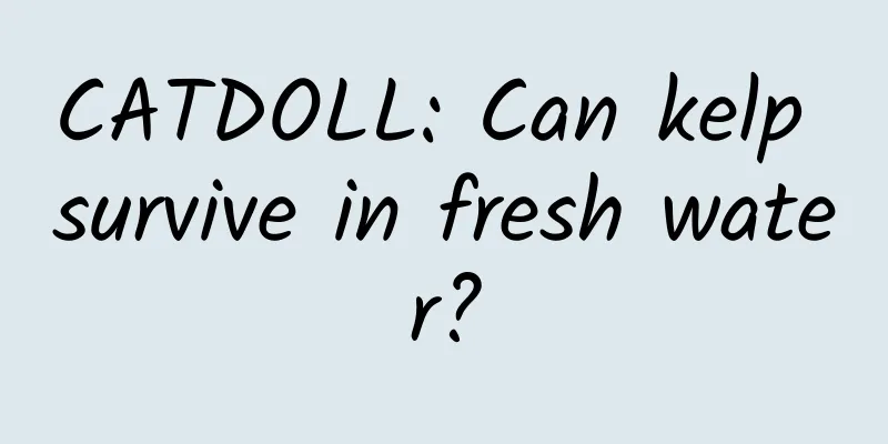 CATDOLL: Can kelp survive in fresh water?