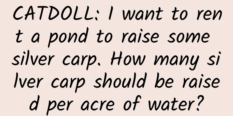 CATDOLL: I want to rent a pond to raise some silver carp. How many silver carp should be raised per acre of water?