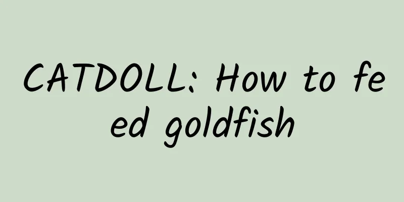 CATDOLL: How to feed goldfish