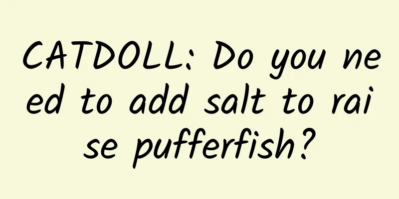 CATDOLL: Do you need to add salt to raise pufferfish?