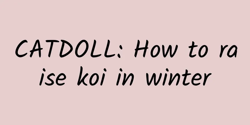 CATDOLL: How to raise koi in winter