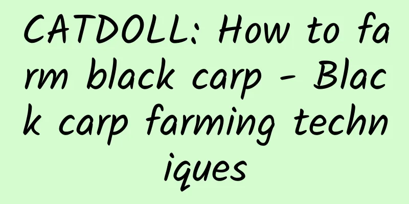 CATDOLL: How to farm black carp - Black carp farming techniques
