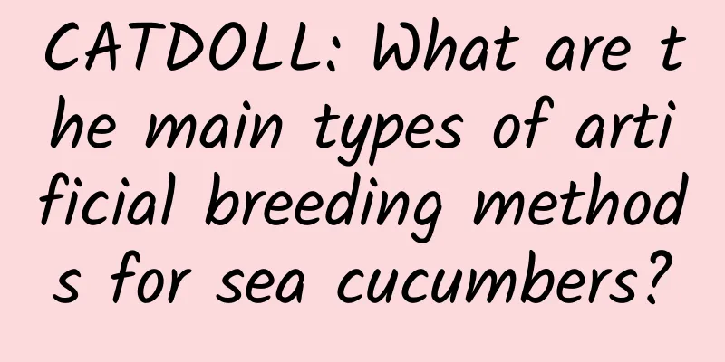 CATDOLL: What are the main types of artificial breeding methods for sea cucumbers?