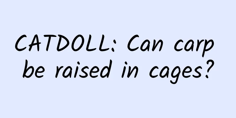 CATDOLL: Can carp be raised in cages?