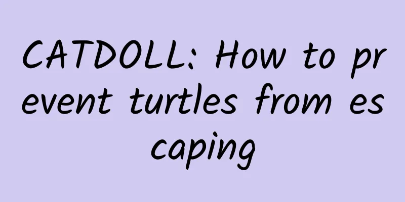 CATDOLL: How to prevent turtles from escaping
