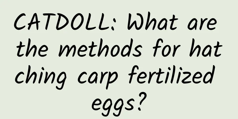 CATDOLL: What are the methods for hatching carp fertilized eggs?