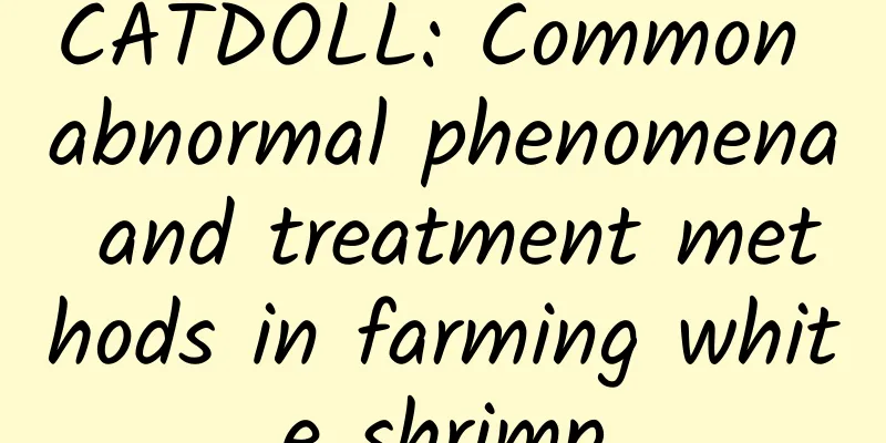 CATDOLL: Common abnormal phenomena and treatment methods in farming white shrimp