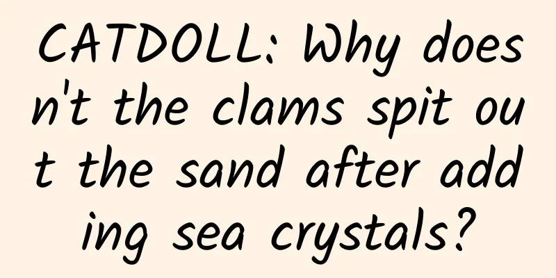 CATDOLL: Why doesn't the clams spit out the sand after adding sea crystals?