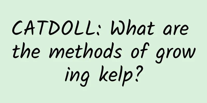CATDOLL: What are the methods of growing kelp?