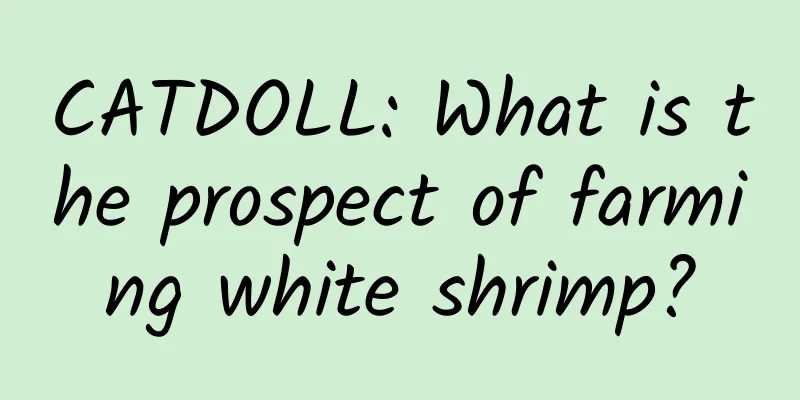 CATDOLL: What is the prospect of farming white shrimp?
