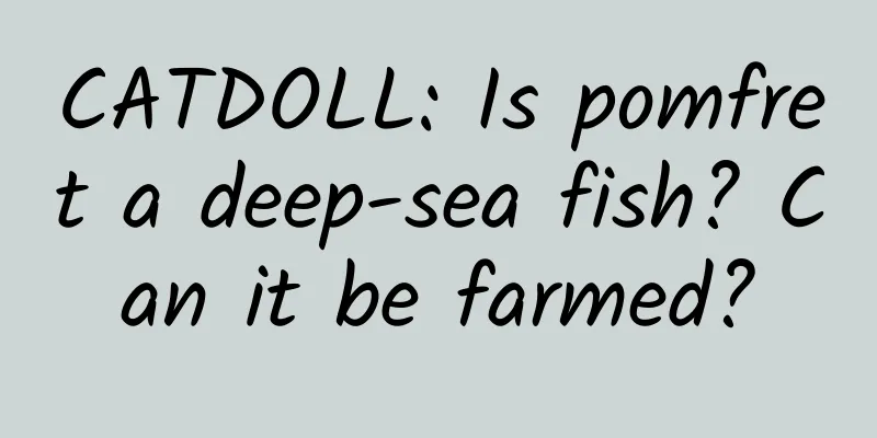 CATDOLL: Is pomfret a deep-sea fish? Can it be farmed?