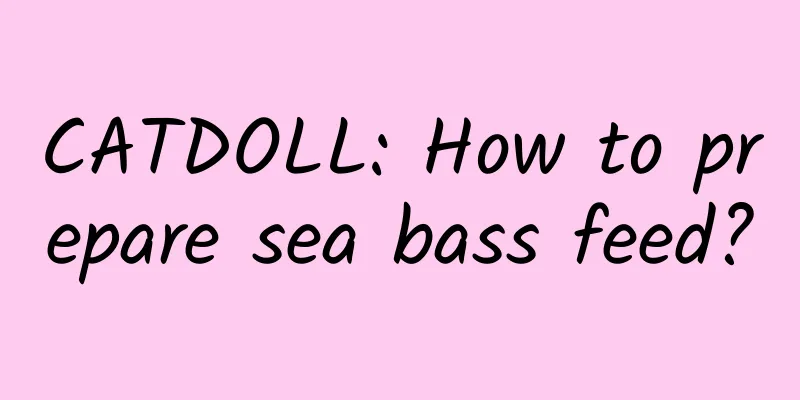 CATDOLL: How to prepare sea bass feed?