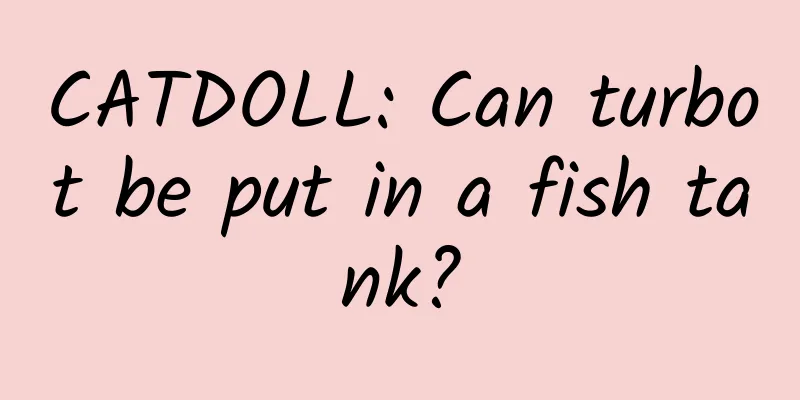 CATDOLL: Can turbot be put in a fish tank?