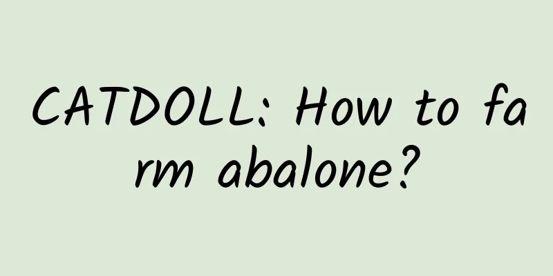 CATDOLL: How to farm abalone?