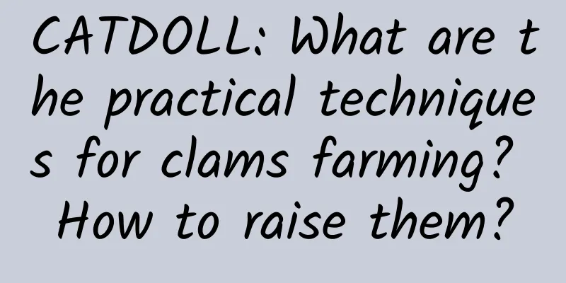 CATDOLL: What are the practical techniques for clams farming? How to raise them?