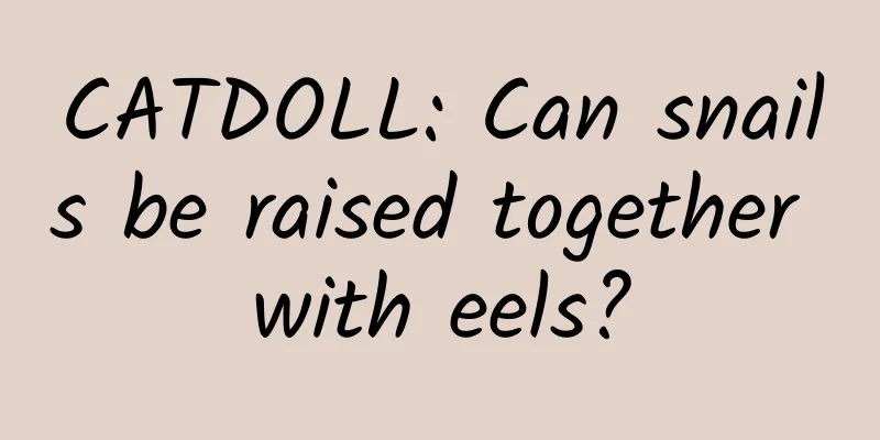 CATDOLL: Can snails be raised together with eels?