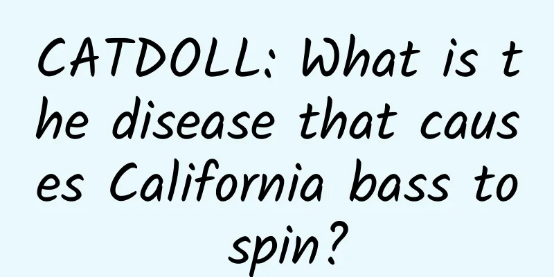 CATDOLL: What is the disease that causes California bass to spin?