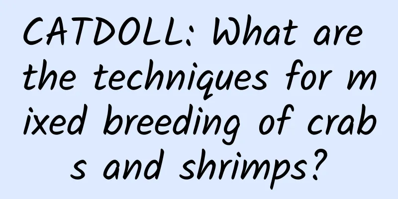CATDOLL: What are the techniques for mixed breeding of crabs and shrimps?