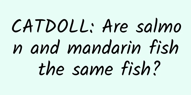 CATDOLL: Are salmon and mandarin fish the same fish?