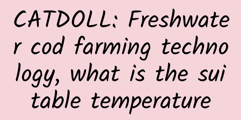 CATDOLL: Freshwater cod farming technology, what is the suitable temperature