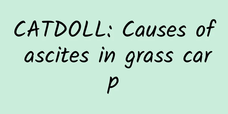 CATDOLL: Causes of ascites in grass carp